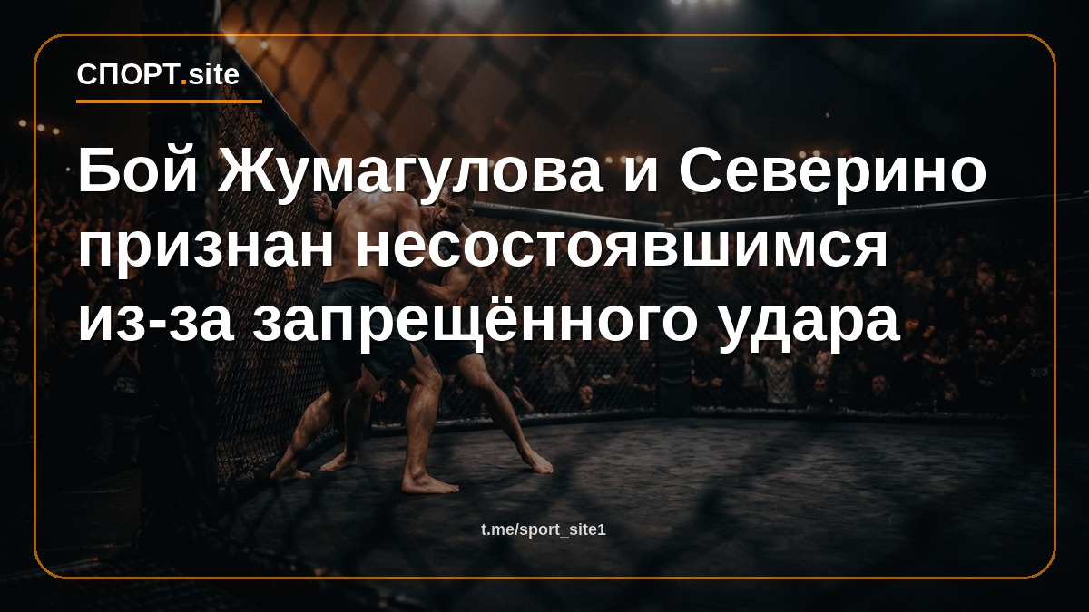 Бой Жумагулова и Северино признан несостоявшимся из-за запрещённого удара