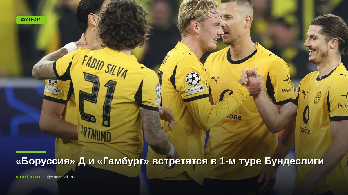 «Боруссия» Д и «Гамбург» встретятся в 1-м туре Бундеслиги