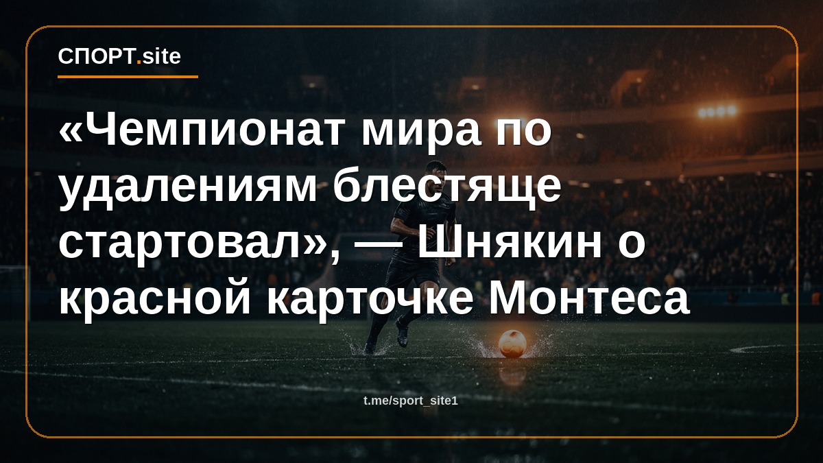 «Чемпионат мира по удалениям блестяще стартовал», — Шнякин о красной карточке Монтеса