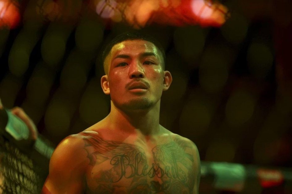 UFC 331: Джошуа Ван vs Александр Пантожа — реванш за титул