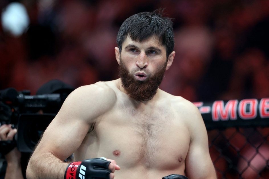 Анкалаев и Гуськов встретятся на UFC Fight Night 282