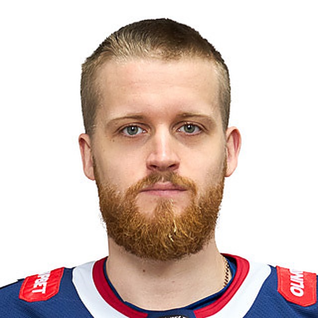 Попугаев Никита О.