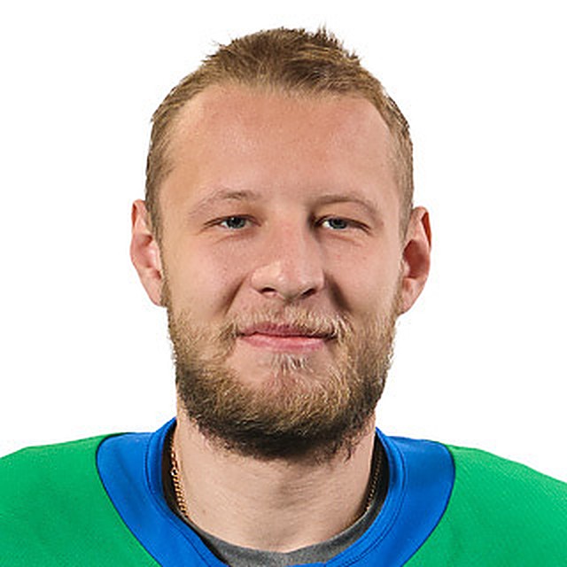 Зоркин Никита