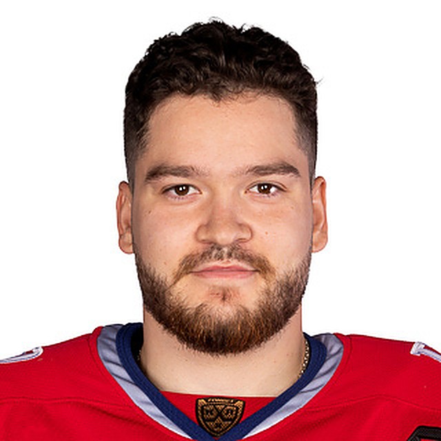 Николаев Илья Е.