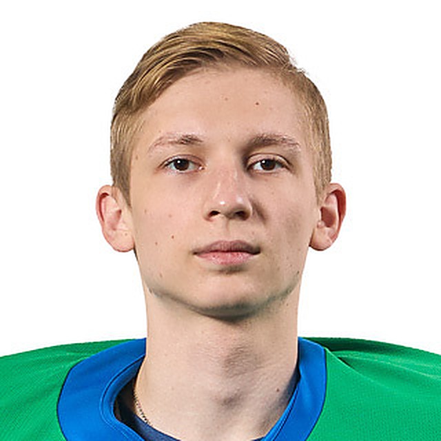Мозговой Ярослав
