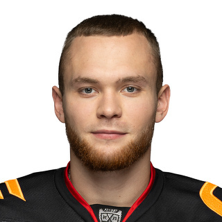 Гуляев Михаил