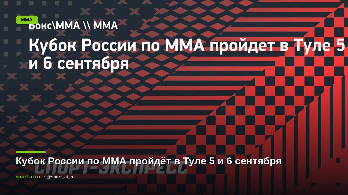 Кубок России по ММА пройдёт в Туле 5 и 6 сентября