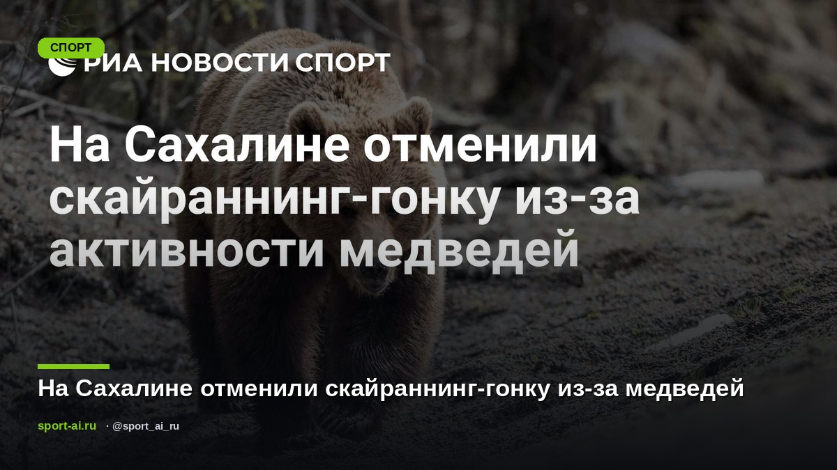 На Сахалине отменили скайраннинг-гонку из-за медведей