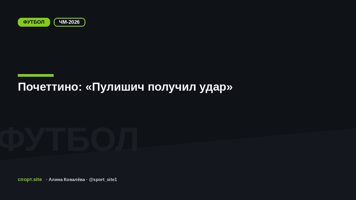 Почеттино: «Пулишич получил удар»