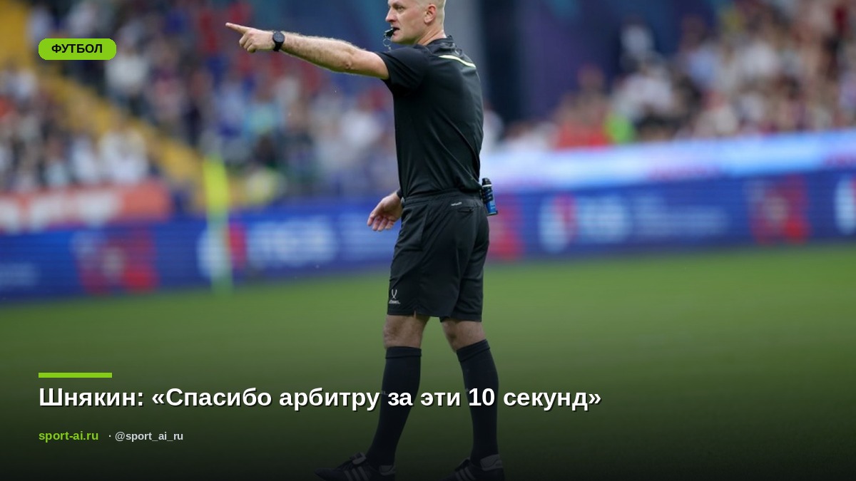 Шнякин: «Спасибо арбитру за эти 10 секунд»