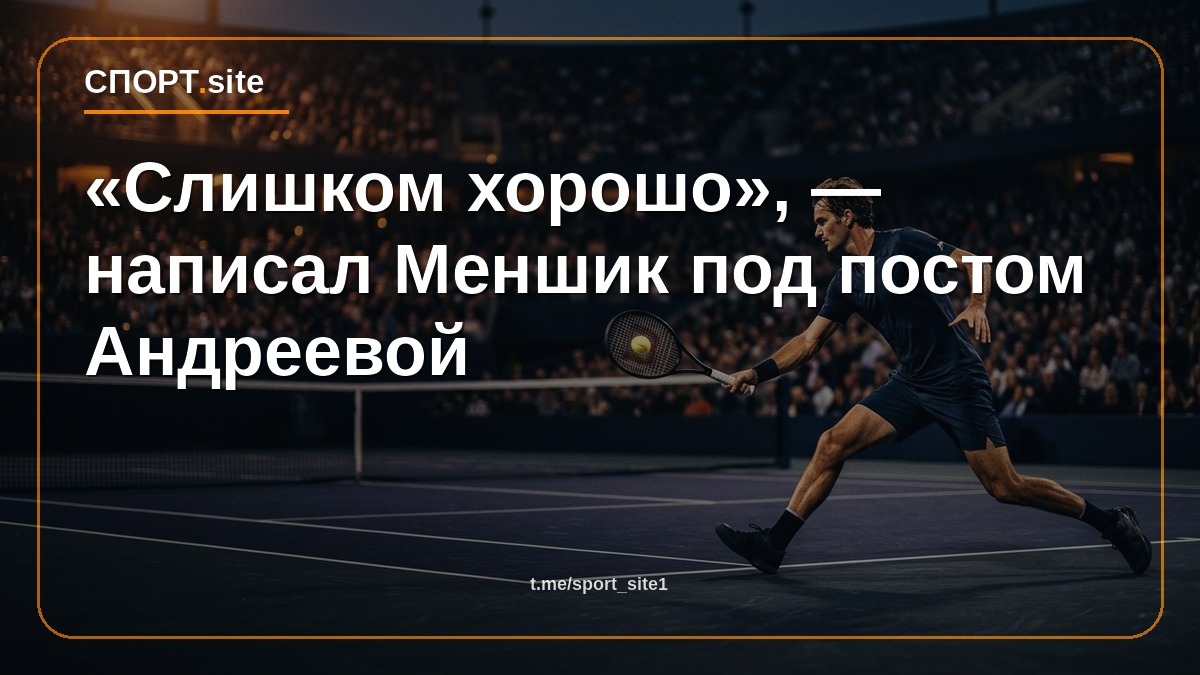 «Слишком хорошо», — написал Меншик под постом Андреевой
