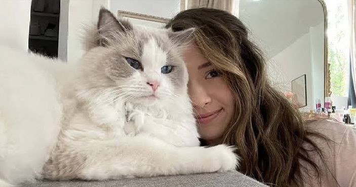 Pokimane рассказала о смерти своей кошки Мими после падения с балкона
