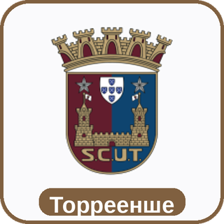 стикер Торреенше sport-ai.ru