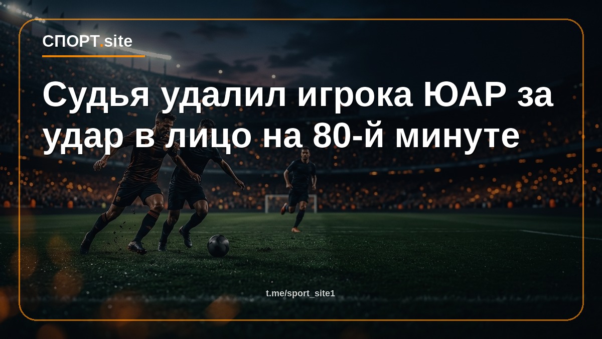 Судья удалил игрока ЮАР за удар в лицо на 80-й минуте